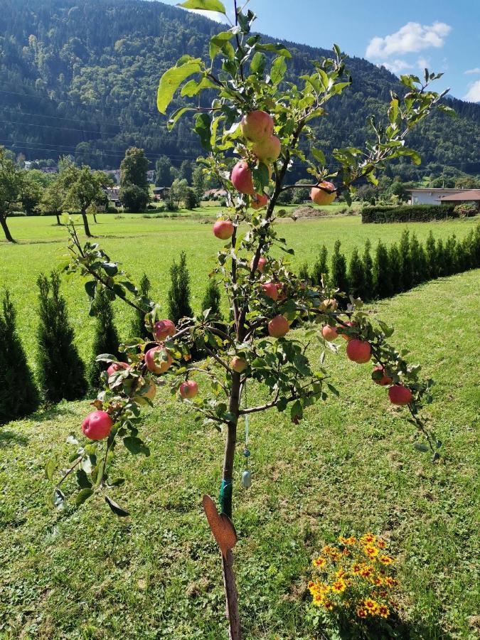 Apartment - Ferienwohnung 2 Treffen Am Ossiachersee Εξωτερικό φωτογραφία